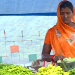 Bangled Entrepreneur (Gujarat, Aug 10 13)