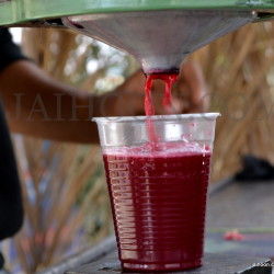 Pomegranates juice for sale in Jericho.