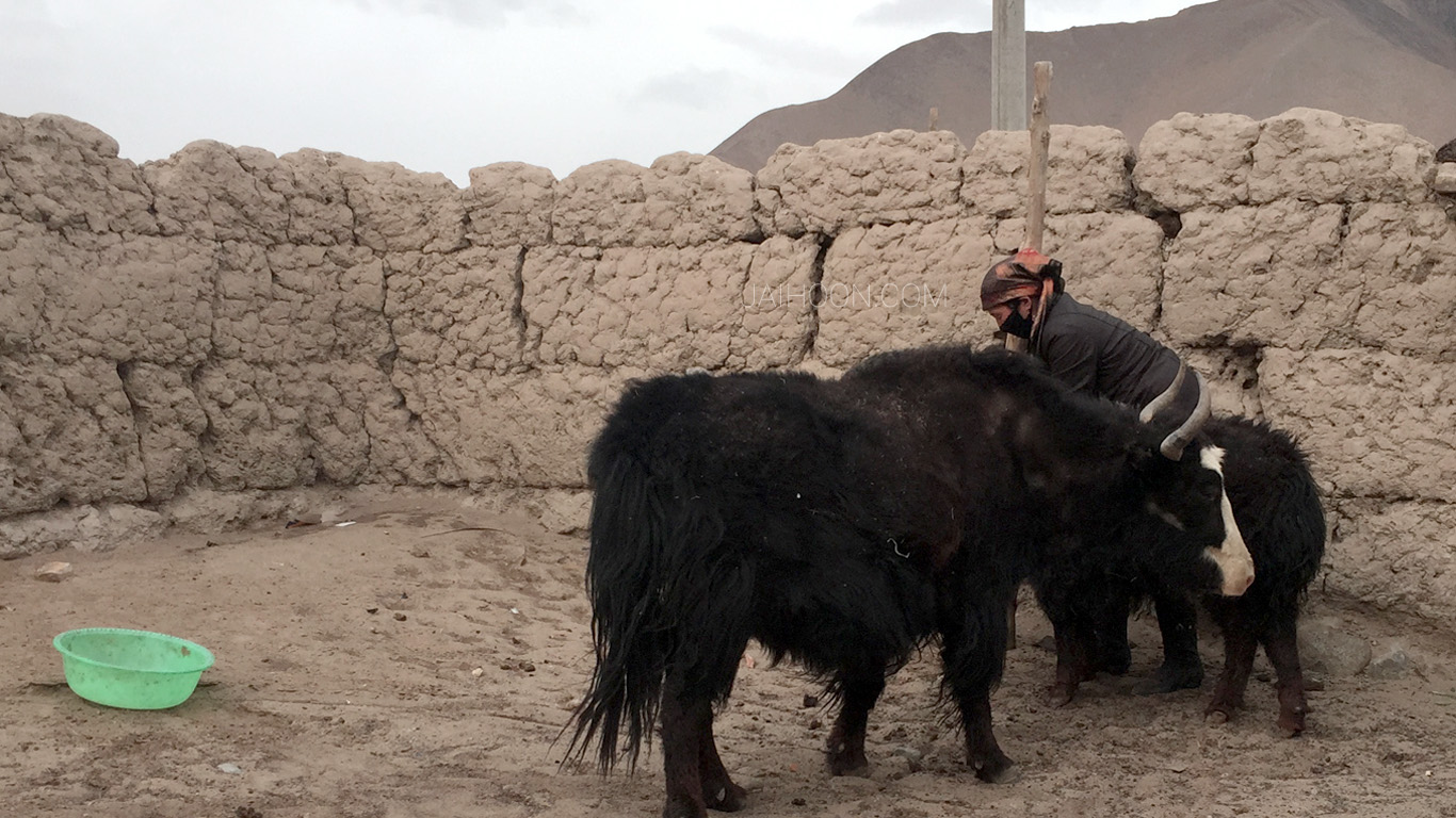 Kyrgyz family, Karakul Lake, Xinjiang