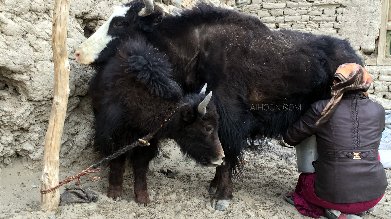 Karakul Lake, Xinjiang